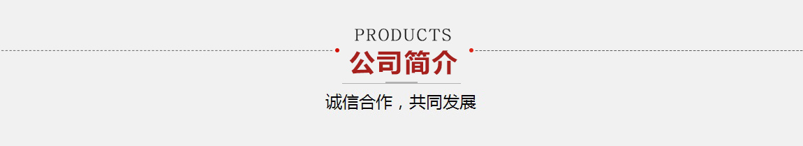 公司简介